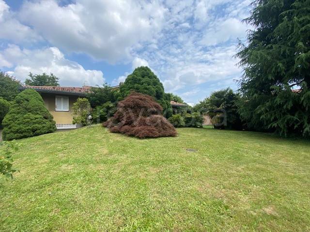 immagine annuncio 1 di 6