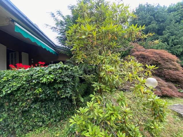 immagine annuncio 2 di 6