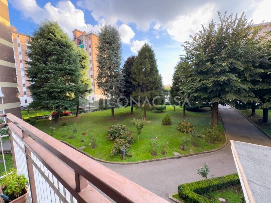 immagine annuncio 5 di 15