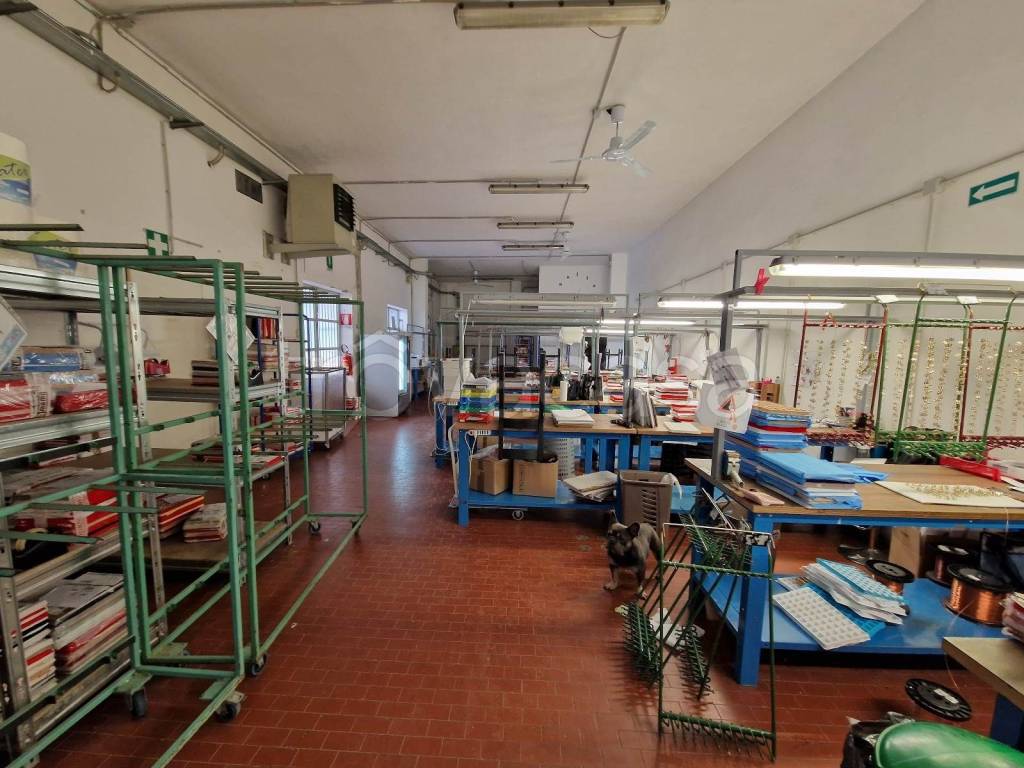 immagine annuncio 5 di 9