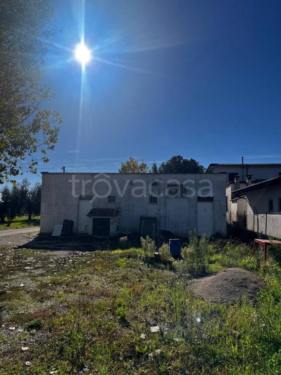 immagine annuncio 12 di 13