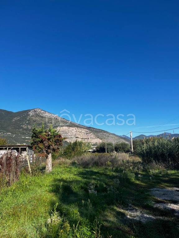 immagine annuncio 10 di 13