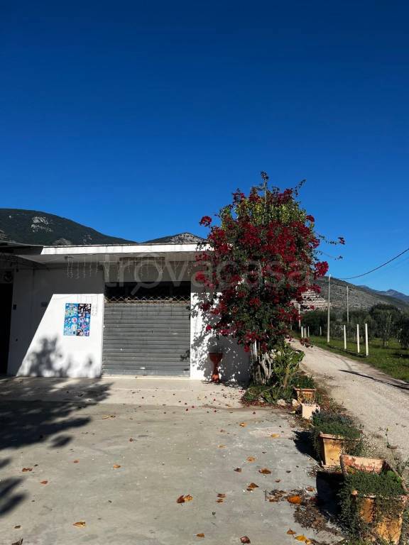 immagine annuncio 6 di 13