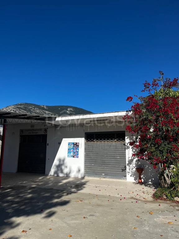 immagine annuncio 7 di 13