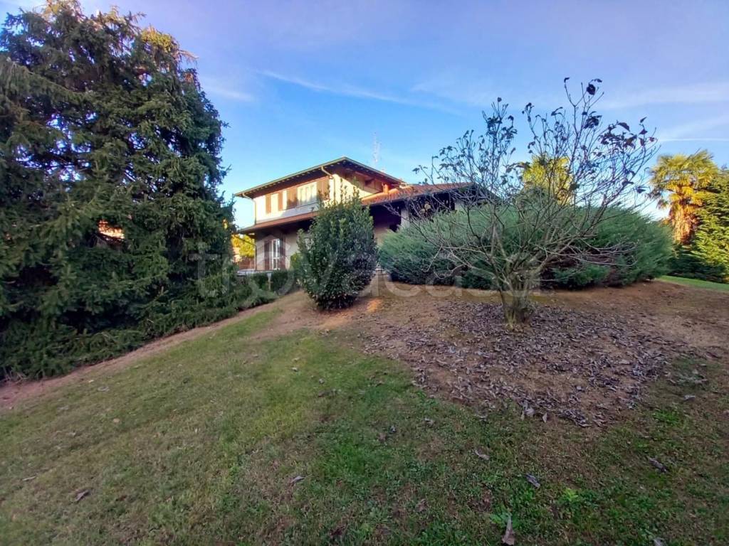 immagine annuncio 2 di 9