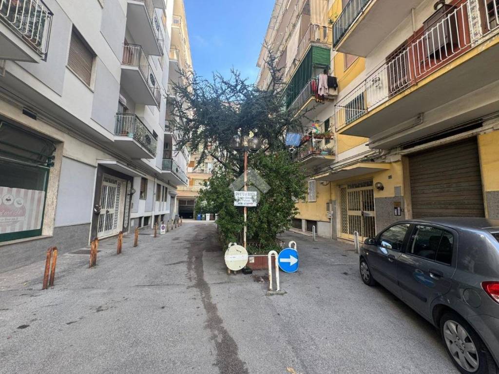 immagine annuncio 13 di 14