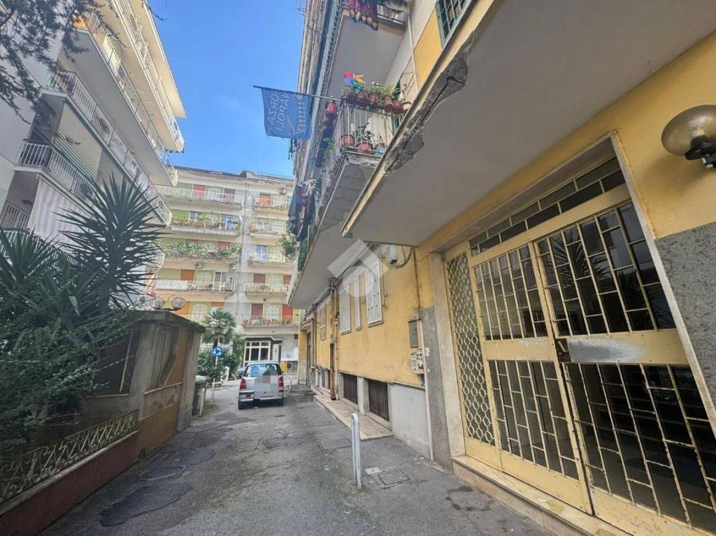 immagine annuncio 11 di 14