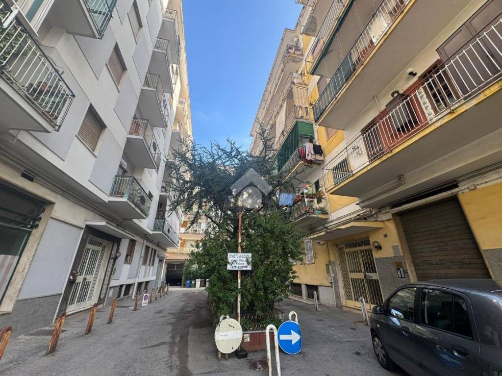 immagine annuncio 10 di 14