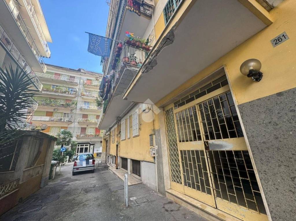 immagine annuncio 8 di 14