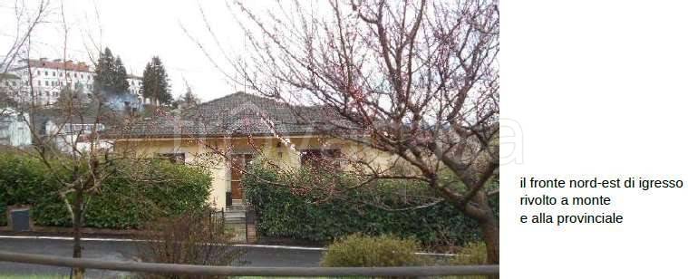 immagine annuncio 12 di 14