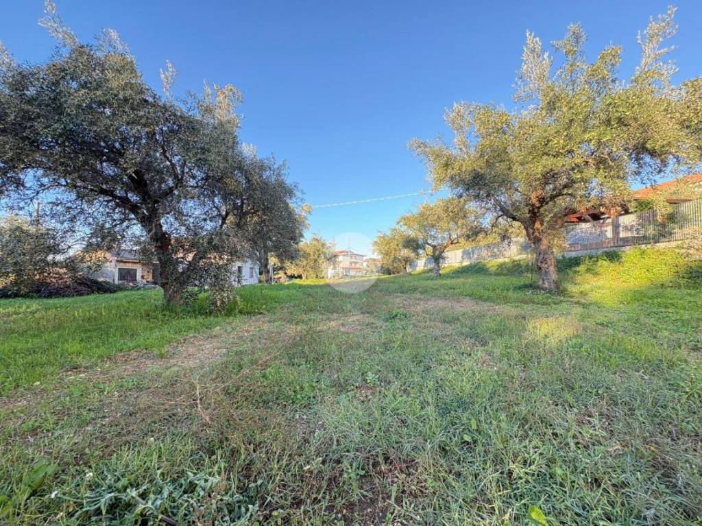 immagine annuncio 10 di 13