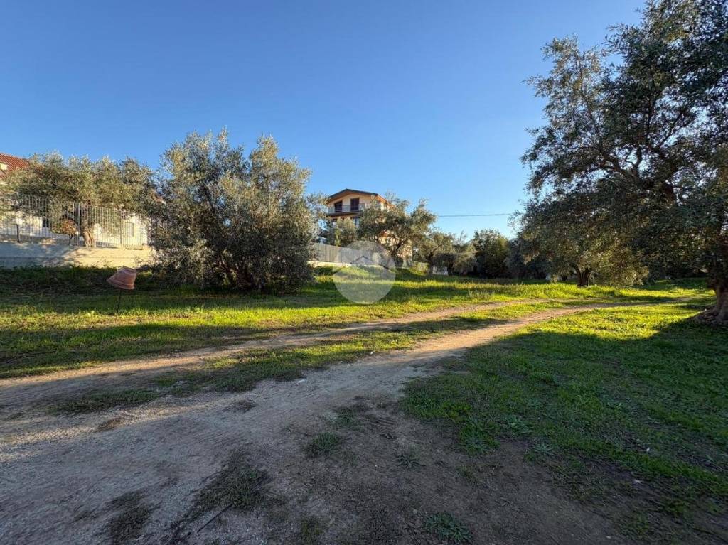 immagine annuncio 11 di 13