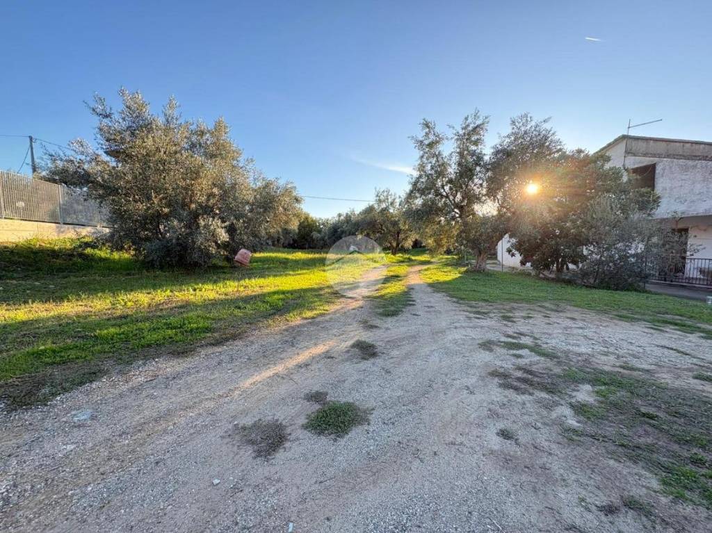 immagine annuncio 12 di 13