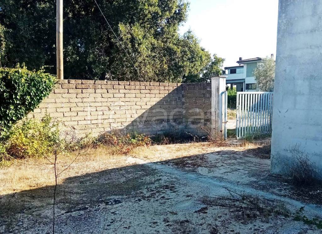 immagine annuncio 6 di 12