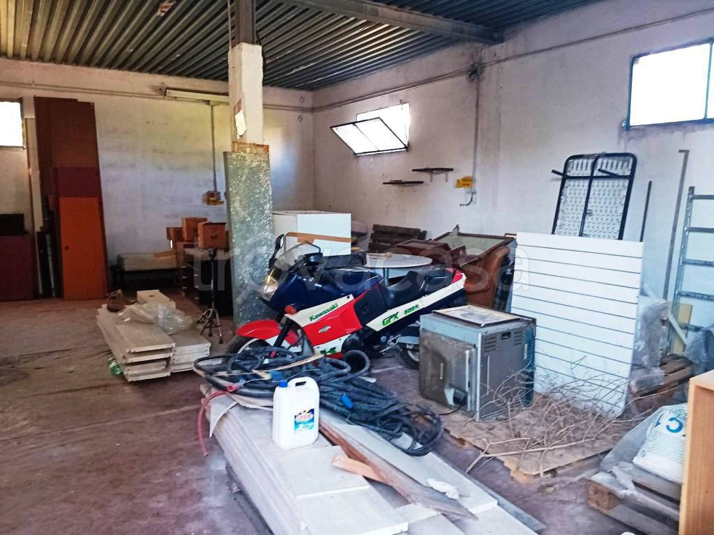 immagine annuncio 8 di 12