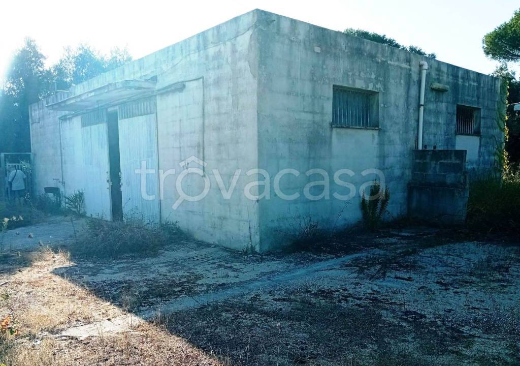 immagine annuncio 9 di 12