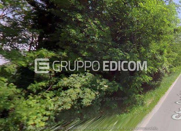 immagine annuncio 4 di 6