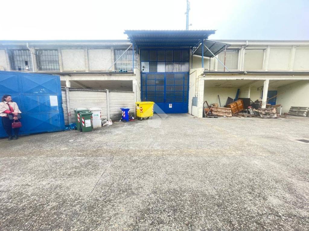 immagine annuncio 3 di 15