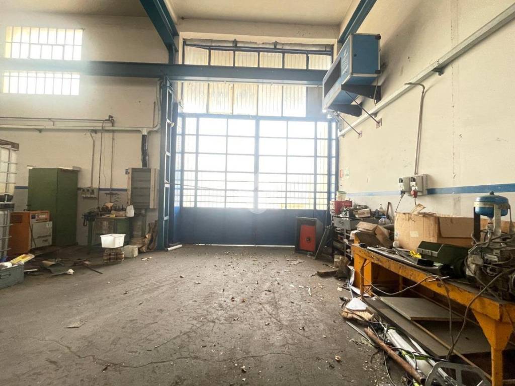 immagine annuncio 5 di 15