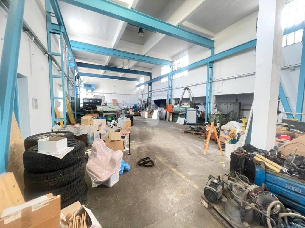 immagine annuncio 11 di 15