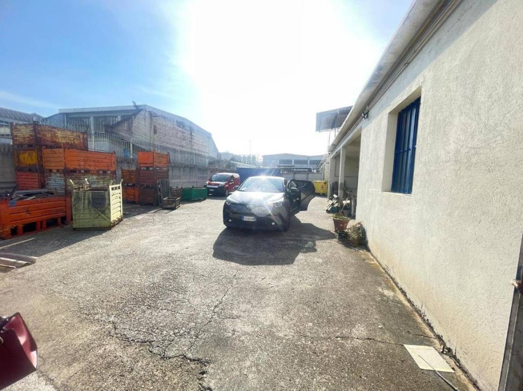 immagine annuncio 13 di 15