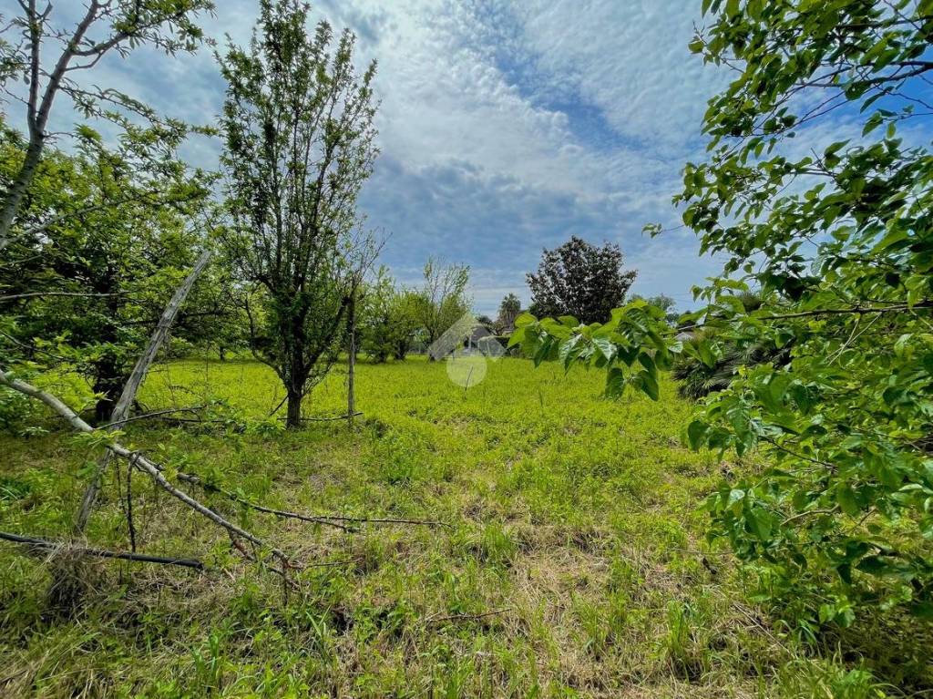 immagine annuncio 1 di 14