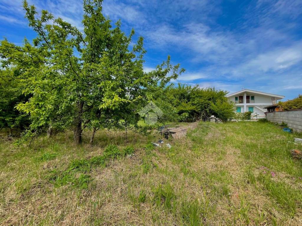 immagine annuncio 3 di 14