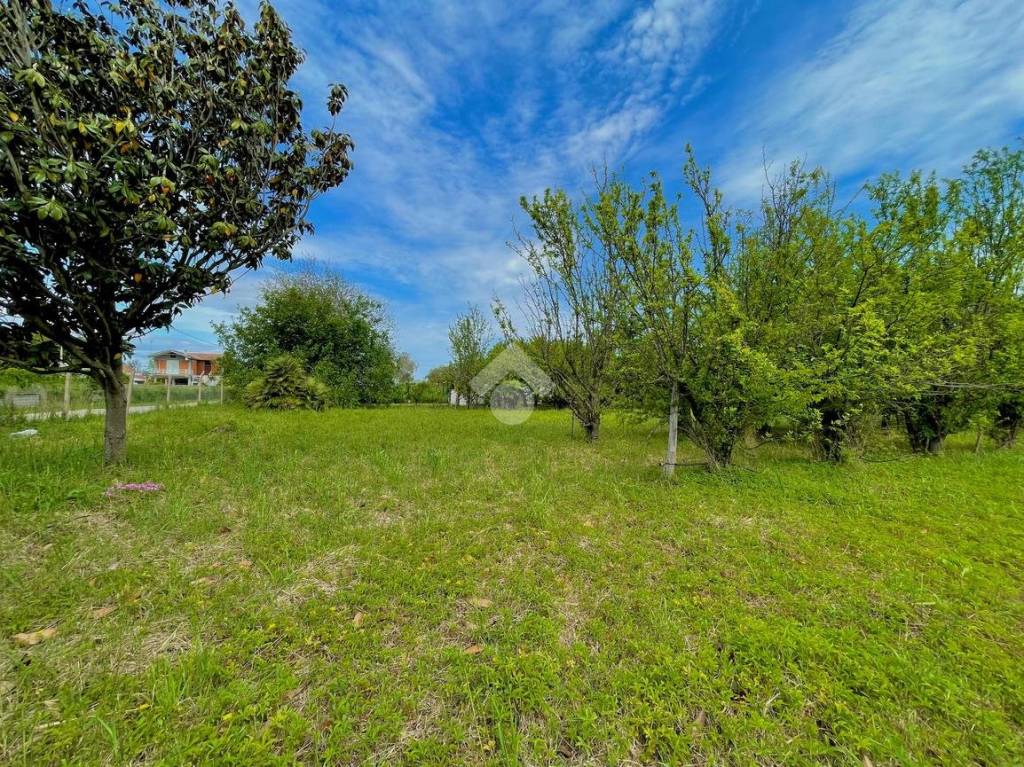 immagine annuncio 4 di 14