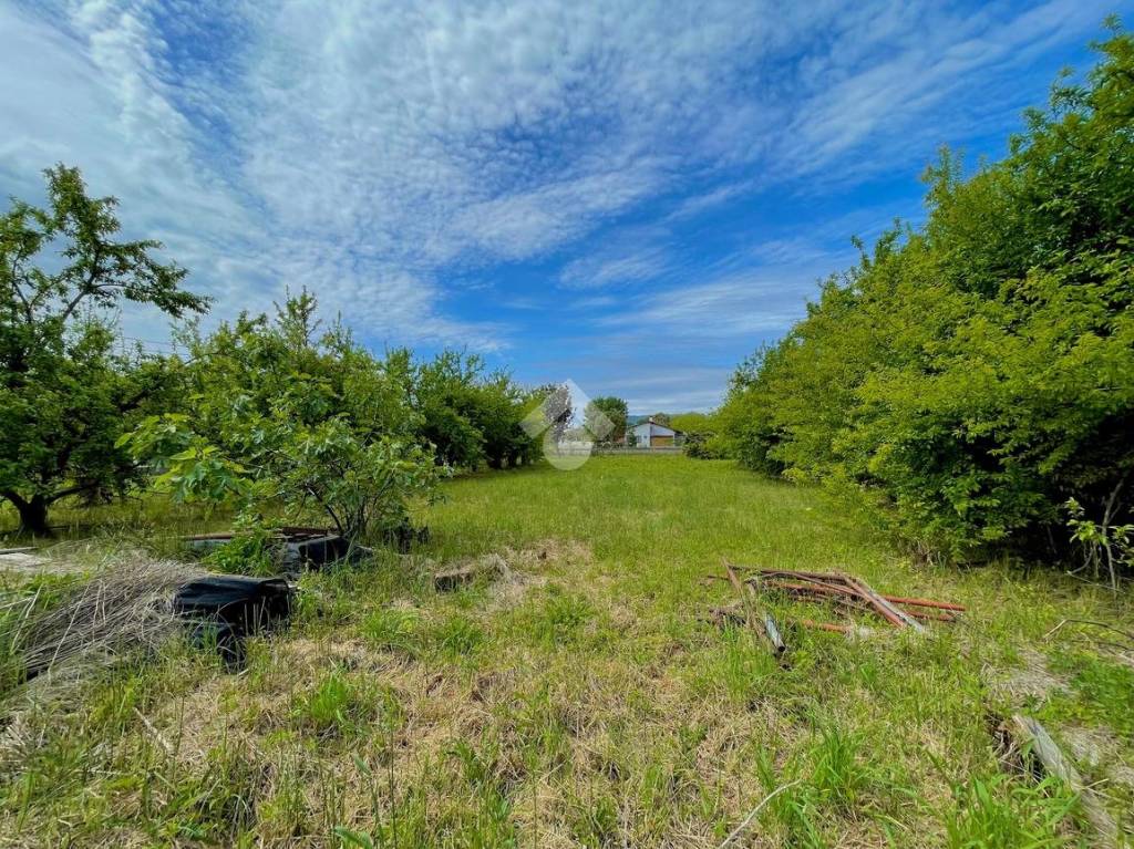 immagine annuncio 6 di 14