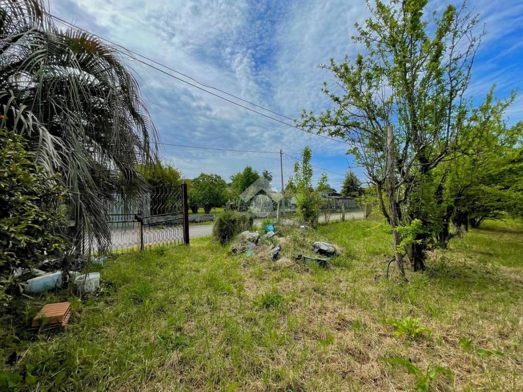 immagine annuncio 7 di 14