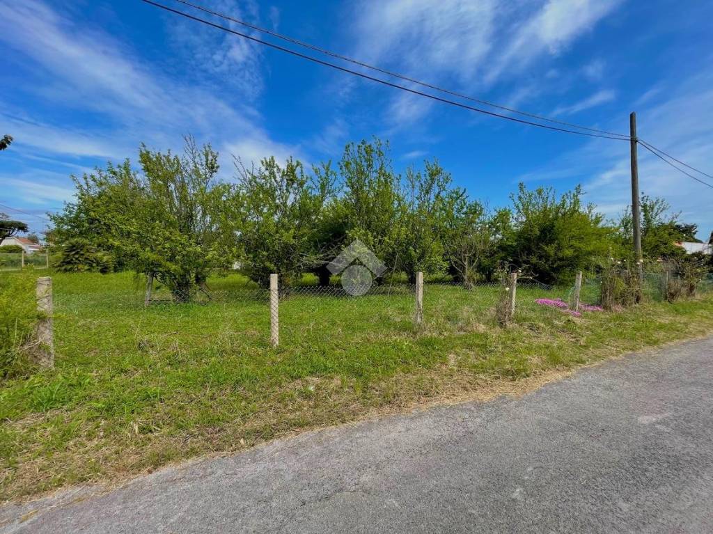 immagine annuncio 8 di 14