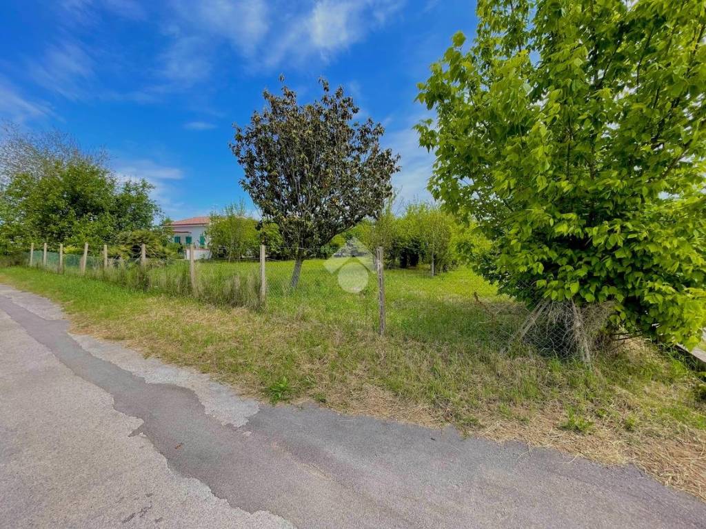 immagine annuncio 9 di 14