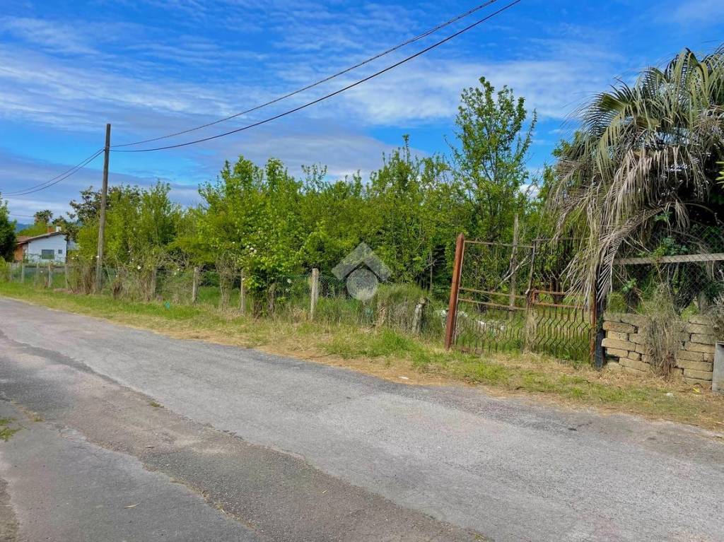 immagine annuncio 10 di 14