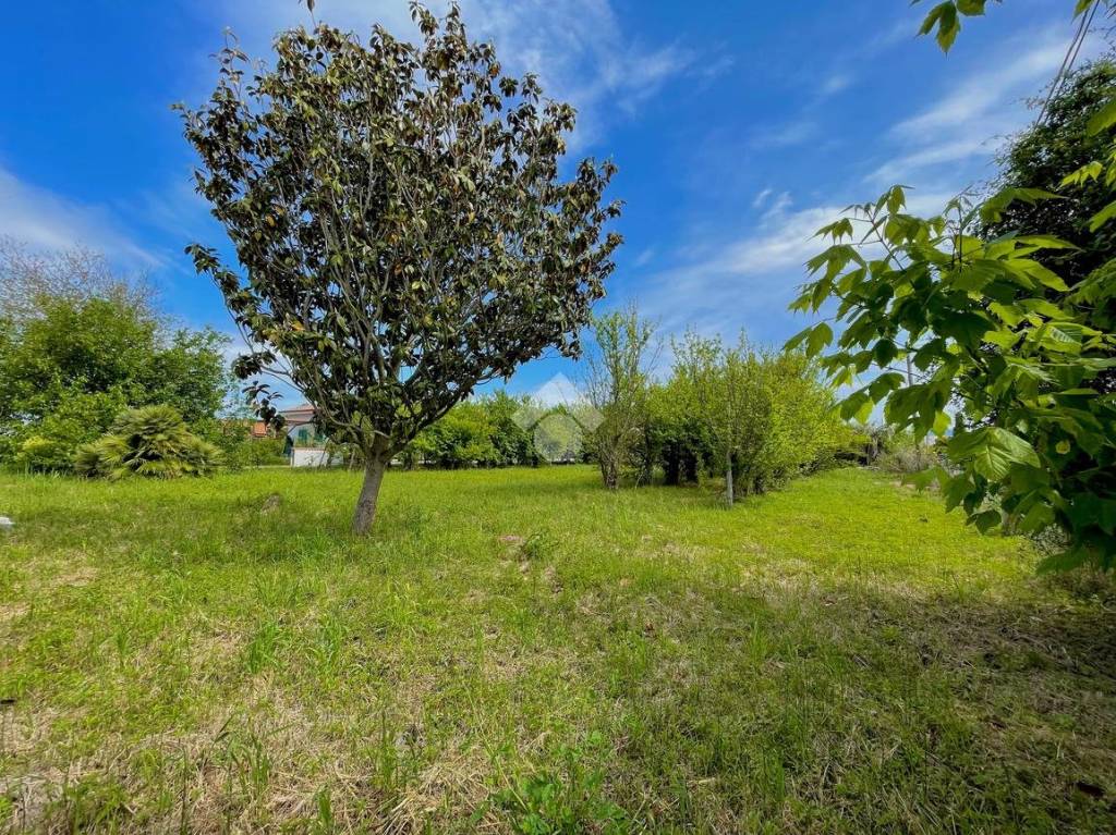 immagine annuncio 11 di 14