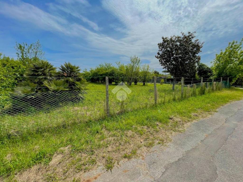 immagine annuncio 12 di 14