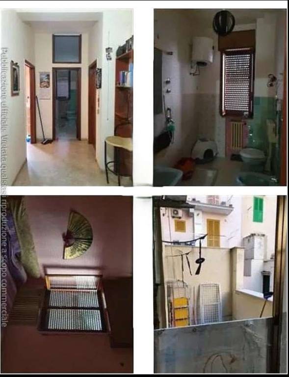 immagine annuncio 1 di 6