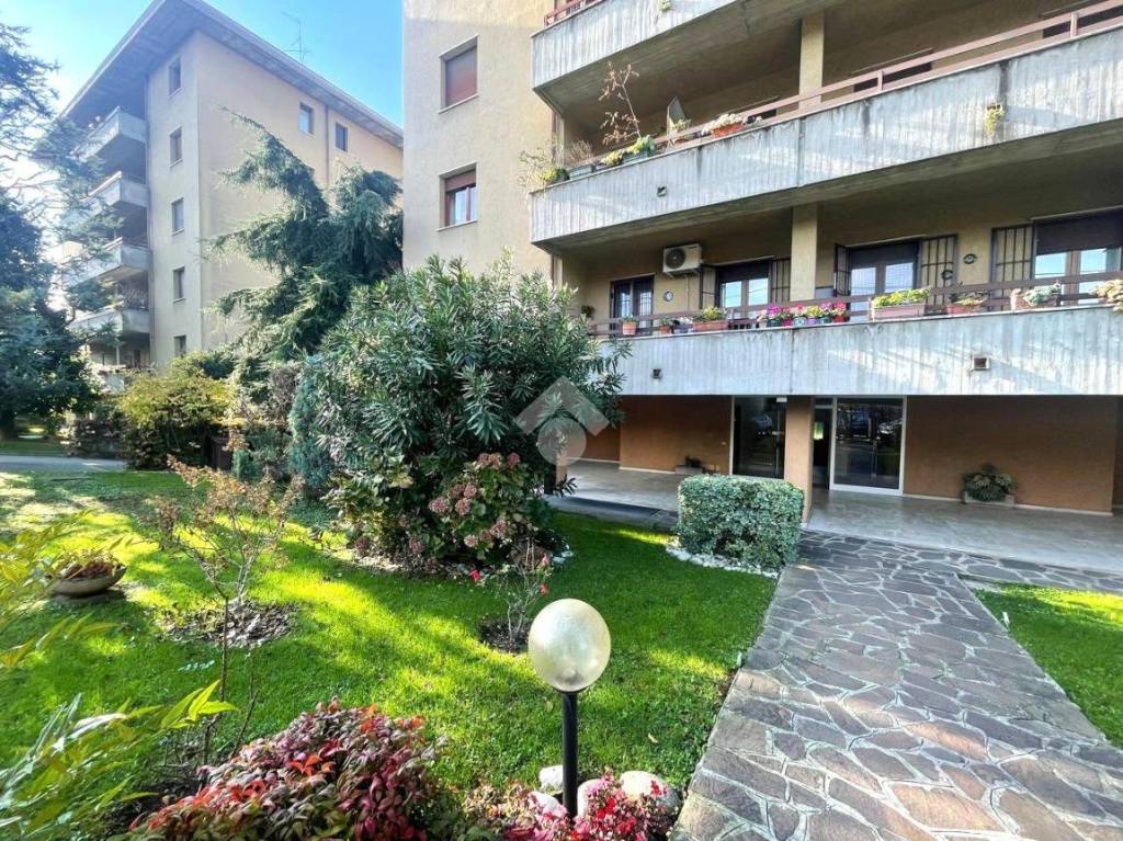 immagine annuncio 3 di 14