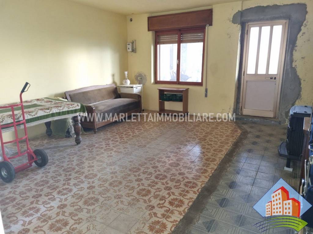 immagine annuncio 3 di 14