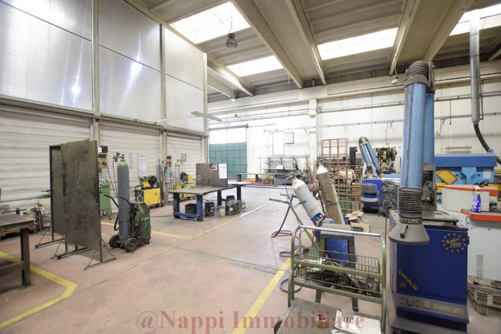 immagine annuncio 13 di 15