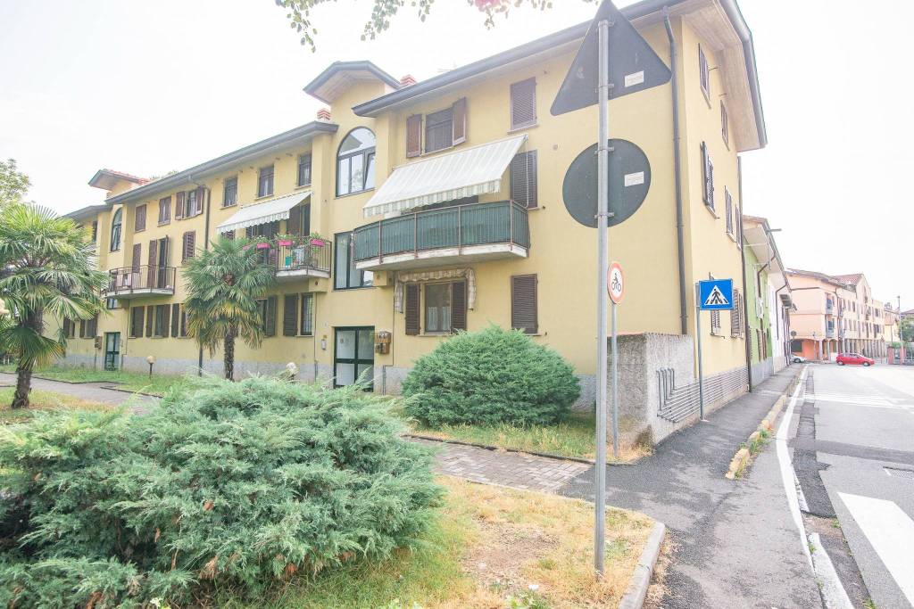 immagine annuncio 4 di 8