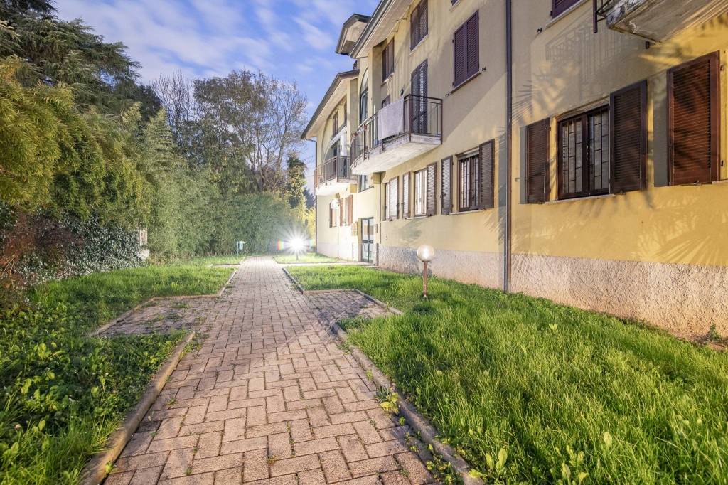 immagine annuncio 5 di 8