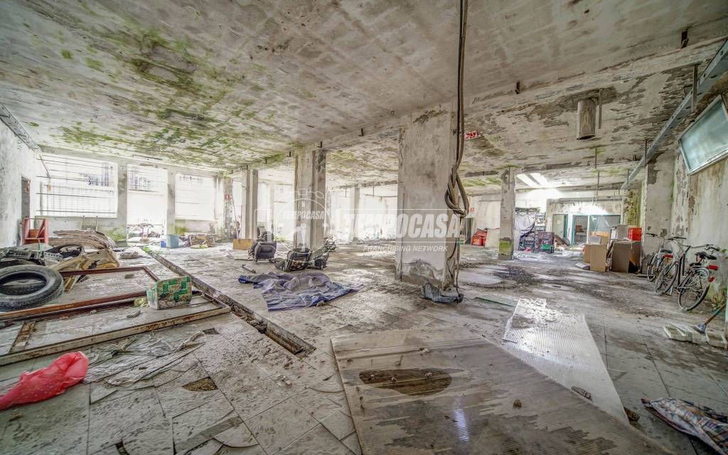 immagine annuncio 10 di 15