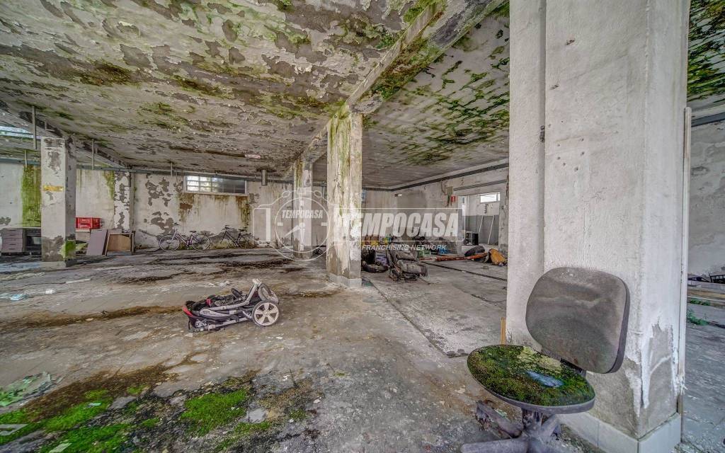 immagine annuncio 12 di 15