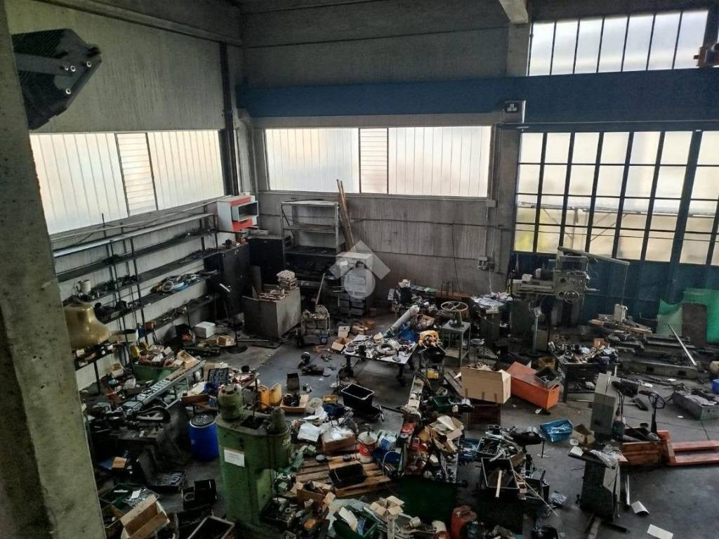 immagine annuncio 3 di 15