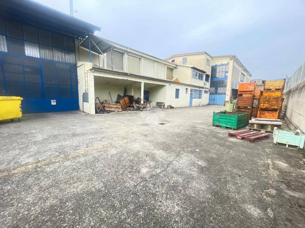 immagine annuncio 7 di 15