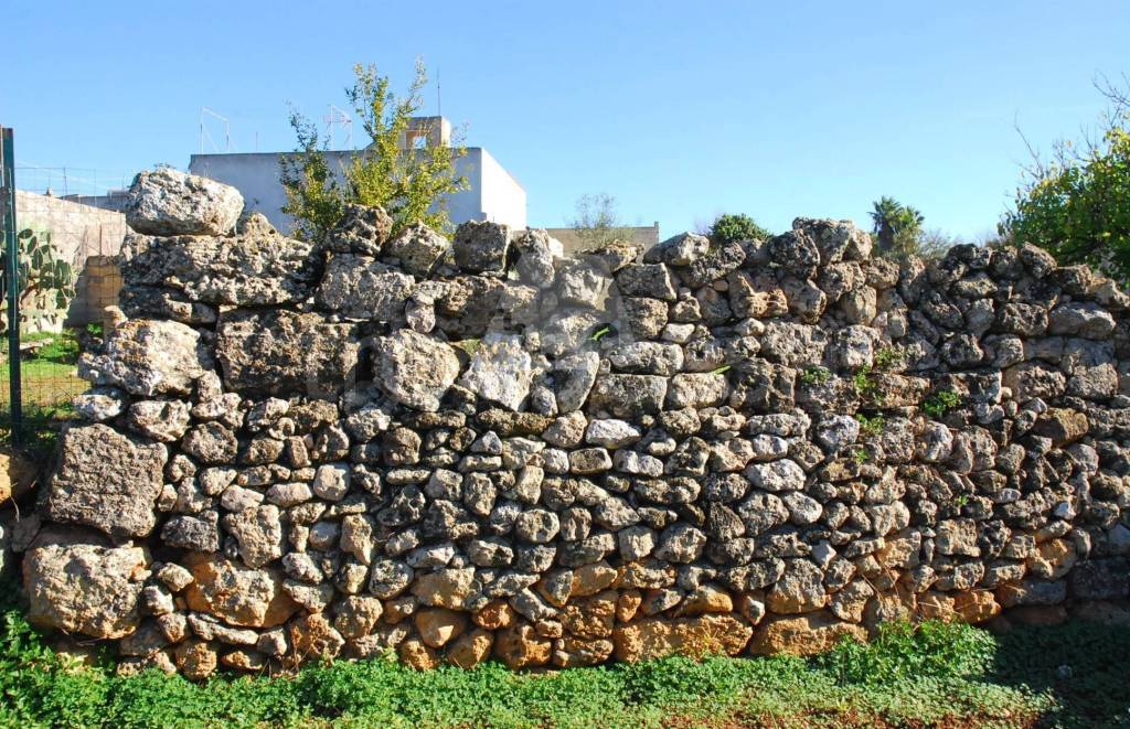 immagine annuncio 3 di 8