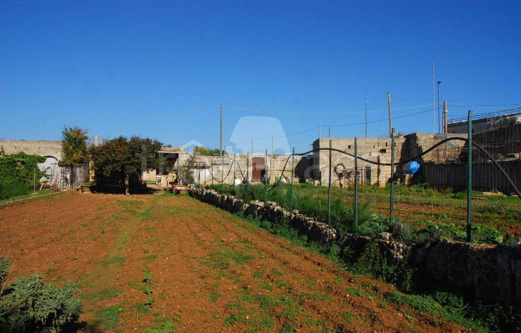 immagine annuncio 7 di 8