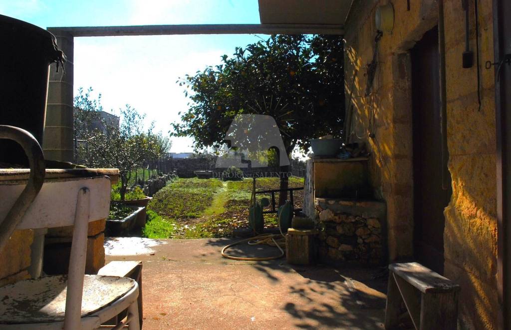 immagine annuncio 6 di 8