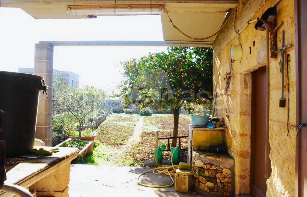 immagine annuncio 4 di 8