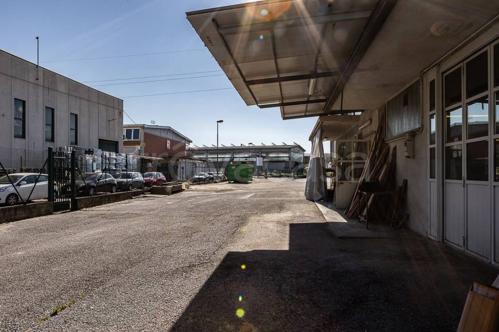 immagine annuncio 4 di 15